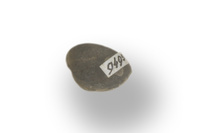 F 09495
<br/>
<br/>
<em></em>